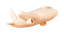 Loading